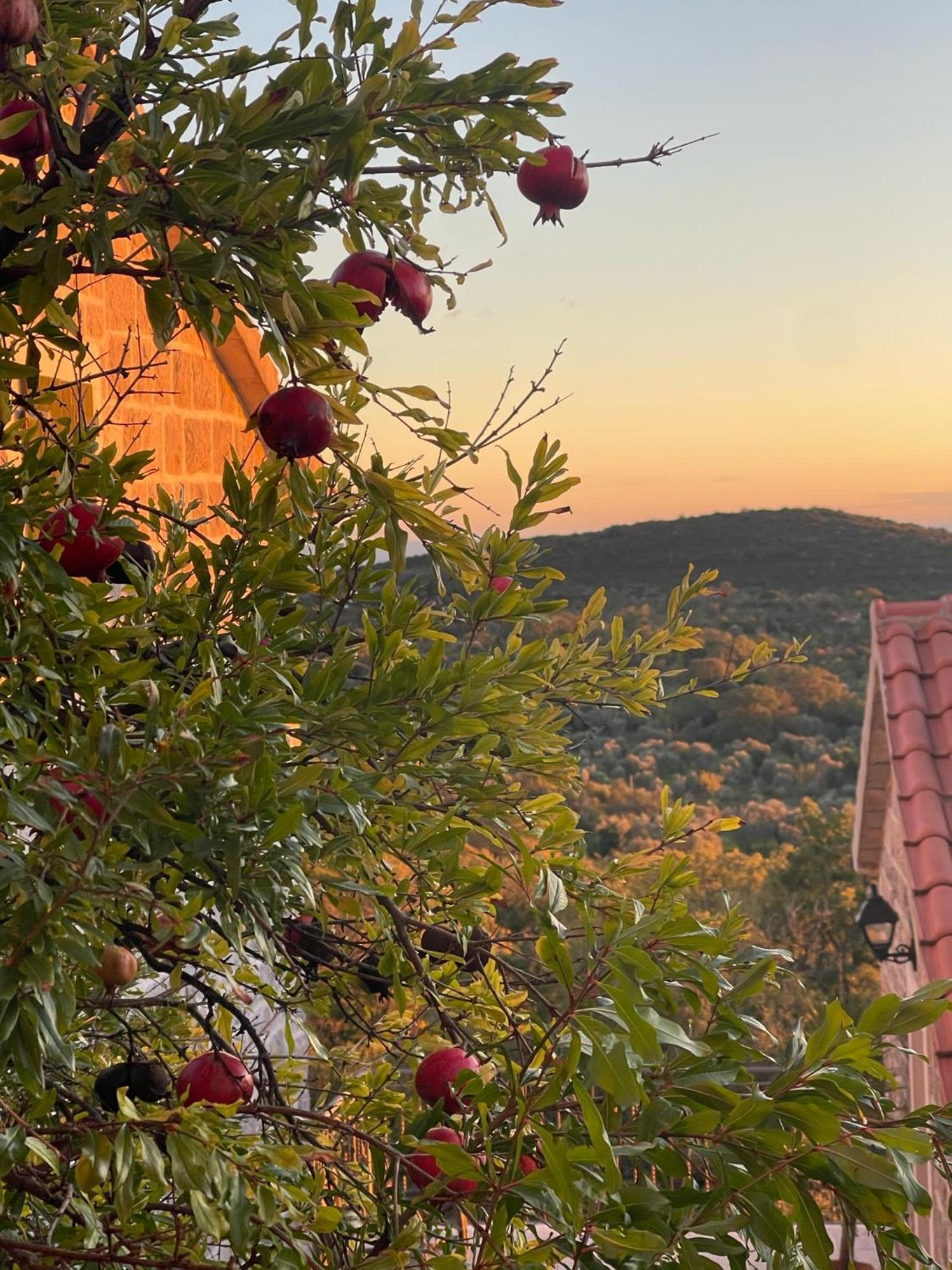 Klinci Village Resort 외부 사진